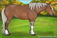 Horse Color:Silver Bay Tobiano Rabicano