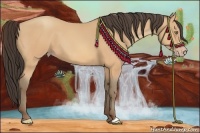 Horse Color:Amber Champagne 