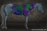 Horse Color:ERROR: UNKNOWN ANOMALY Brindle