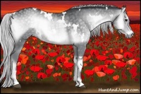 Horse Color:White Spotted Silver Blue Onyx Chinchilla Rabicano