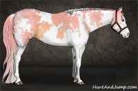 Horse Color:Watercolor White Spotted Liver Chestnut Splash 