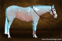 Horse Color:Watercolor White Spotted Bay Splash