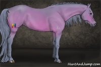 Horse Color:Watercolor Buckskin Sabino 
