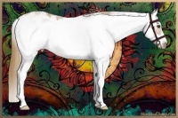 Horse Color:Chestnut Sabino Splash Frame 