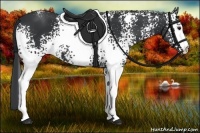 Horse Color:White Spotted Black