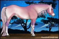 Horse Color:Watercolor Silver Buckskin Onyx Sabino