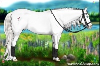 Horse Color:White Spotted Palomino Pearl Varnish 