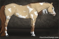 Horse Color:White Spotted Red Dun Frame 
