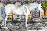 Horse Color:Watercolor White Spotted Smoky Blue Onyx Splash Rabicano