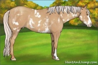 Horse Color:White Spotted Silver Classic Champagne Frame 