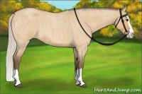 Horse Color:Silver Bay Roan Dun Splash 
