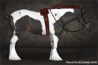 Horse Color:Liver Chestnut Tobiano 