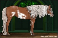 Horse Color:White Spotted Silver Bay Frame 