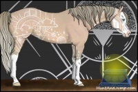 Horse Color:Watercolor Perlino Splash 