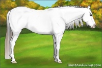 Horse Color:Smoky Black Tobiano Blanket Rabicano 