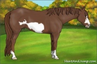 Horse Color:Chestnut Frame 