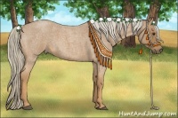 Horse Color:Palomino Roan 