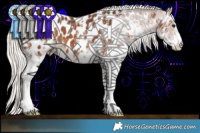 Horse Color:White Spotted Silver Brown Appaloosa 