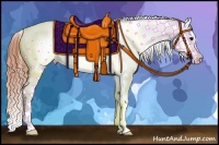 Horse Color:White Spotted Brown Dun Splash Frame Appaloosa 