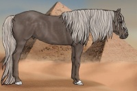 Horse Color:Silver Black 