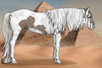 Horse Color:Silver Grullo Splash Tobiano 