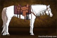 Horse Color:Chestnut Tobiano Blanket