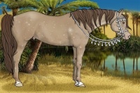 Horse Color:Classic Cream Champagne