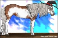 Horse Color:Silver Bay Splash Frame  and Silver Bay Splash Frame 