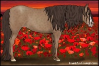 Horse Color:Classic Champagne 