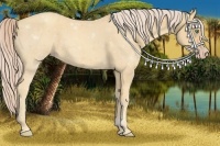 Horse Color:Gold Cream Champagne 
