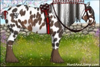 Horse Color:Liver Chestnut Sabino Appaloosa 