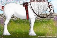 Horse Color:Liver Chestnut Sabino Appaloosa 