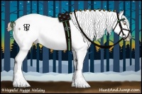 Horse Color:White Spotted Liver Chestnut Splash Appaloosa
