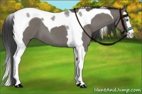 Horse Color:Smoky Grullo Roan Splash Tobiano 