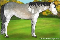 Horse Color:Brown Ice Splash