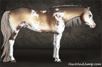 Horse Color:Silver Bay Onyx Sabino 