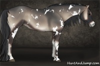 Horse Color:White Spotted Blue Onyx Rabicano 