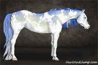 Horse Color:Watercolor White Spotted Bay Onyx Sabino Splash 