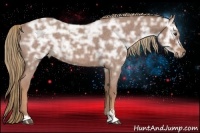 Horse Color:Red Ice Roan Sabino