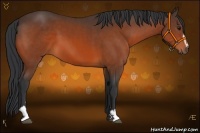 Horse Color:Bay Sabino 