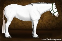 Horse Color:Chestnut Varnish
