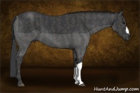 Horse Color:Black Brindle
