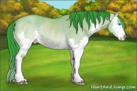 Horse Color:Watercolor Bay Dun Splash Rabicano 
