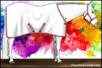 Horse Color:Chocolate Palomino Appaloosa
