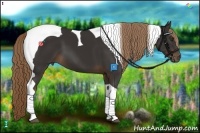 Horse Color:Liver Chestnut Tobiano