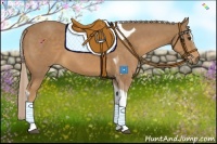 Horse Color:Palomino Sabino Tobiano 