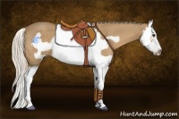 Horse Color:Palomino Splash Frame