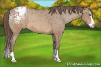 Horse Color:Sable Champagne Splash Varnish