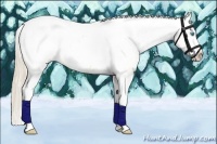 Horse Color:Perlino Dun Splash Tobiano Appaloosa Rabicano 