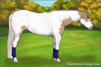Horse Color:Silver Bay Dun Tobiano Frame Rabicano